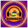 Web Radio 230