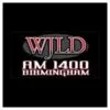 WJLD Radio logo