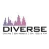 Diverse Fm 102.8